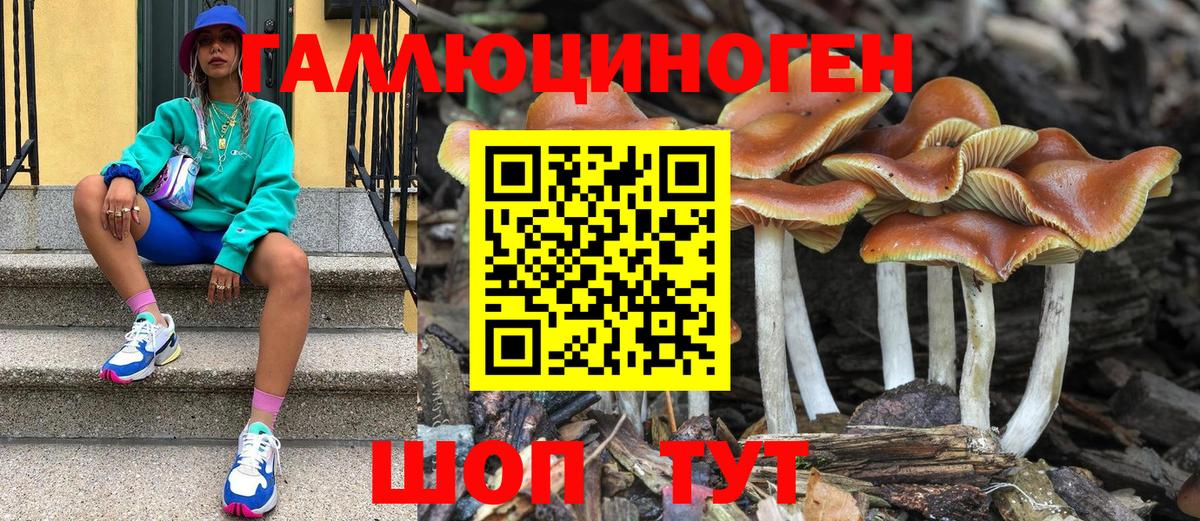 Псилоцибиновые грибы GOLDEN TEACHER  Вход с VPN  как найти закладки  Галлюциногенные грибы мицелий  Новороссийск 