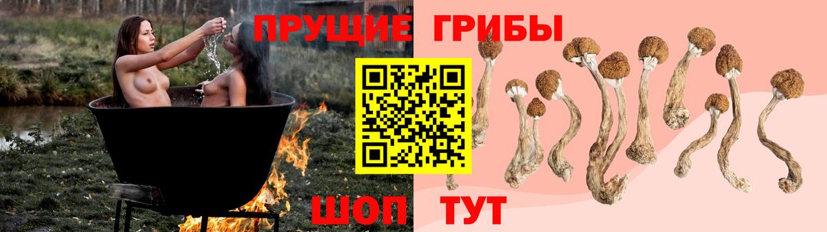 Галлюциногенные грибы ЛСД Новороссийск